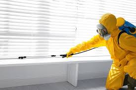 Real Estate Pest Inspections in Edgewood, FL